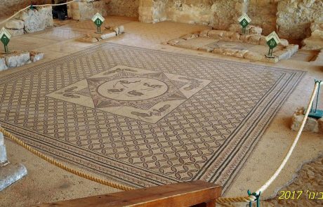 בית הכנסת העתיק של עין גדי: רצפת פסיפס מדהימה בטיול מדבר יהודה