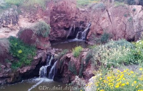 מפלי קניון הבזלת בנחל חרוד: על מפלים בעמק בית שאן כבר שמעתם?