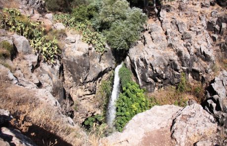 נחל גילבון קצר מעגלי: טיול מים מומלץ בצפון הירוק