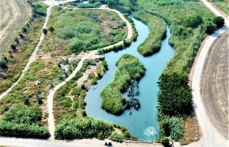 עמק המעיינות ליד בית שאן: מסלולי מים לכל המשפחה- נחל קיבוצים, עין שוקק, עין מודע, המסלול הרטוב