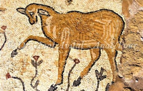 כבשים בפסיפסים מהתקופה הביזנטית בארץ ישראל: תיעוד חקלאות קדומה