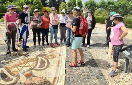 סיור מודרך בגן הסלעים בגני יהושע: מועדון סגל אוניברסיטת תל-אביב, אפריל 2021