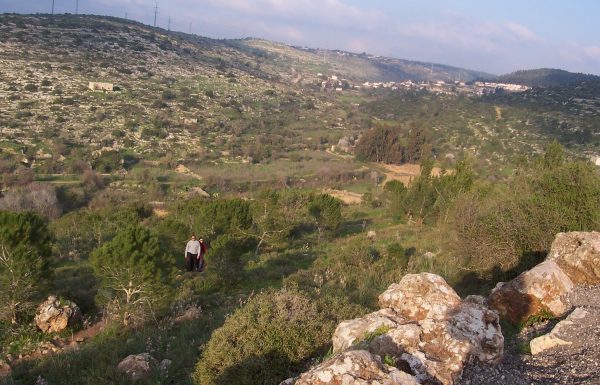 מחורבת חנות לעין מטע ועין תנור: שביל ישראל אל מעיינות יפים ופריחה בהרי יהודה